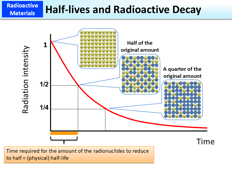 Half lives And Radioactive Decay MOE 