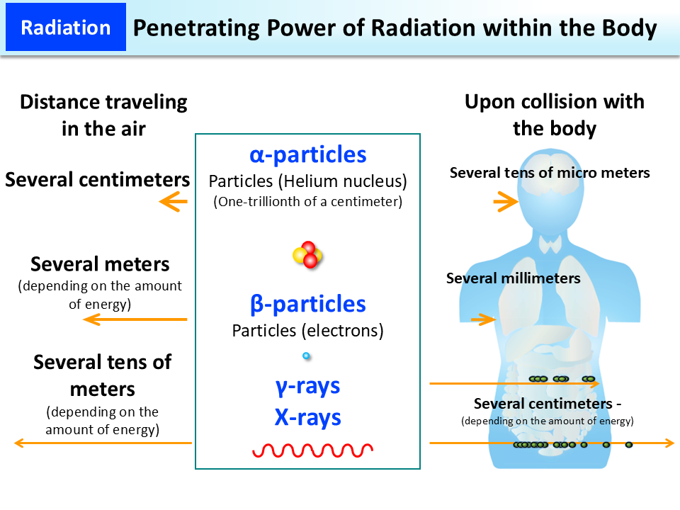 Penetrating Power of Radiation within the Body_Figure