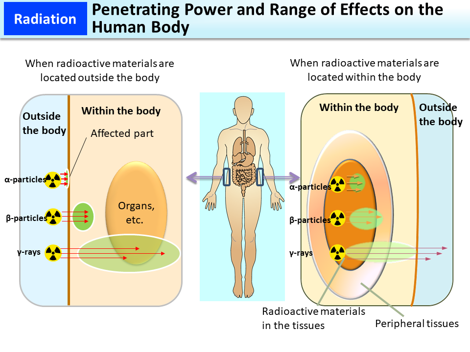 Penetrating Power and Range of Effects on the Human Body_Figure