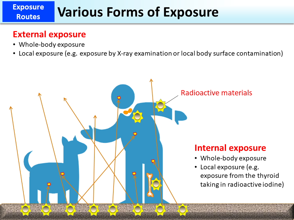 Various Forms of Exposure_Figure