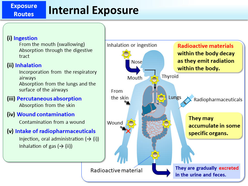 Internal Exposure_Figure