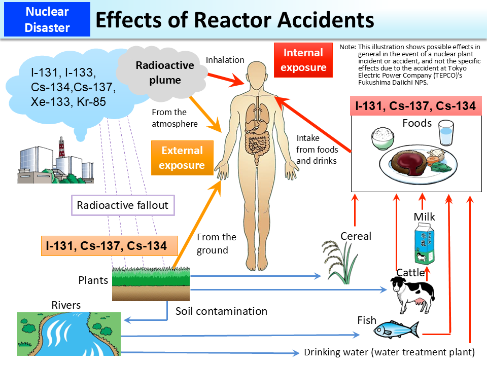 nuclear reactor meltdown diagram