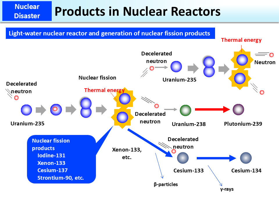 Products in Nuclear Reactors_Figure