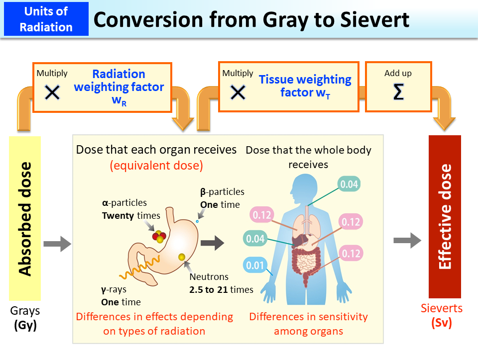Conversion from Gray to Sievert_Figure