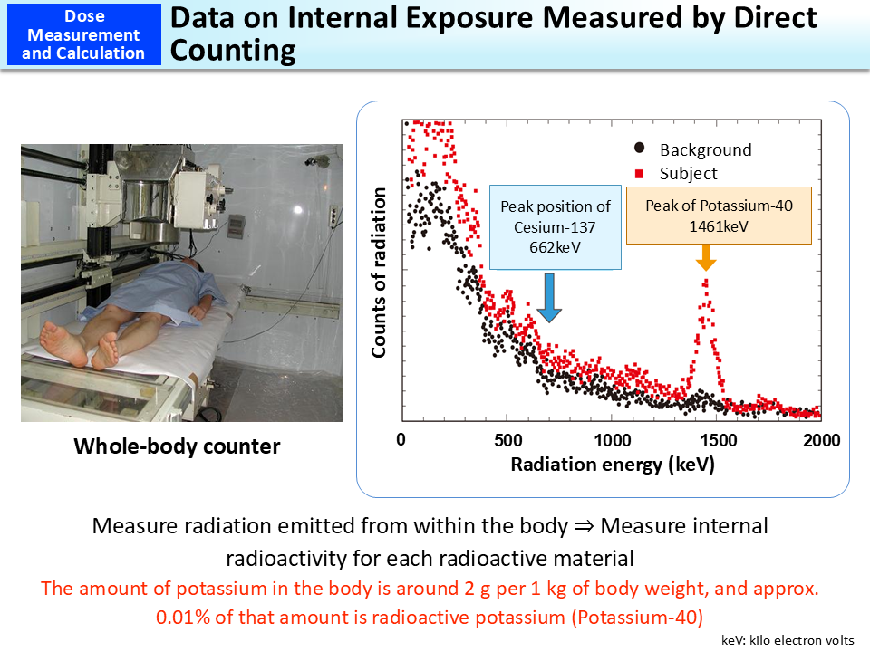 Data on Internal Exposure Measured by Direct Counting_Figure