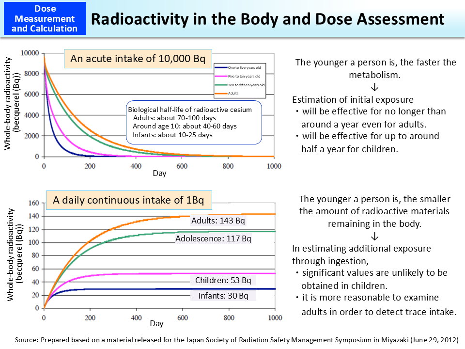 Radioactivity in the Body and Dose Assessment_Figure