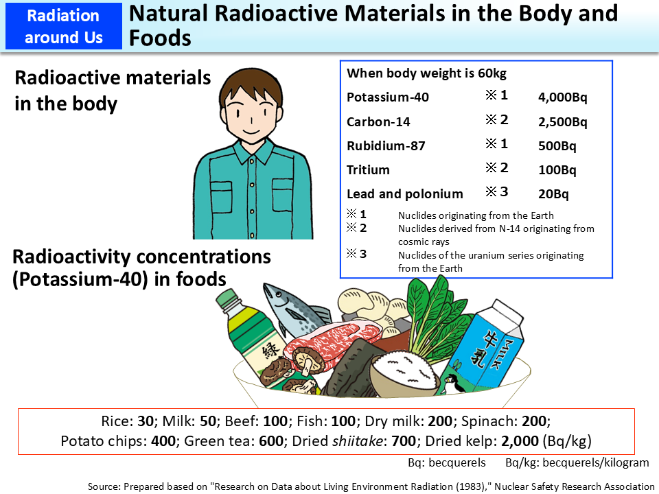 Natural Radioactive Materials in the Body and Foods [MOE]