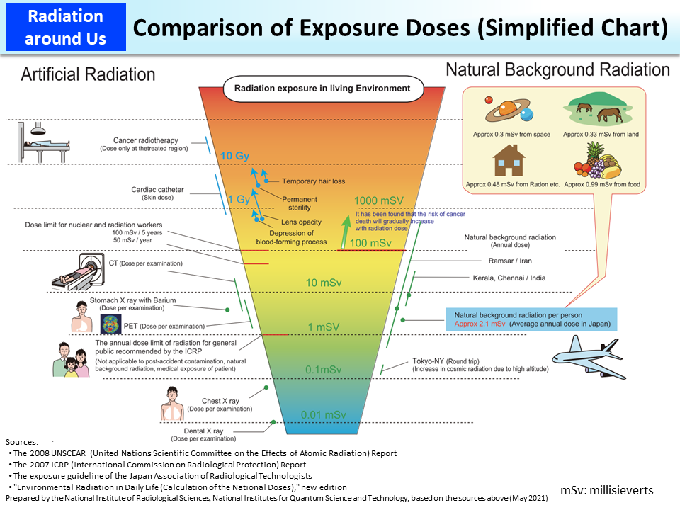 Comparison of Exposure Doses (Simplified Chart)_Figure