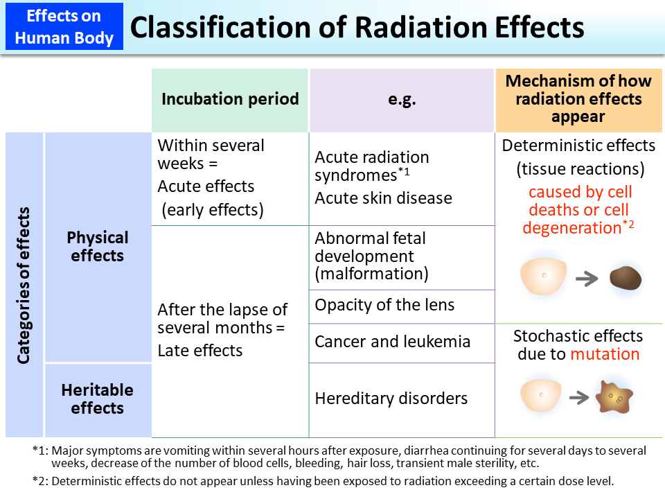 Radiation Is Harmful To All About Radiation