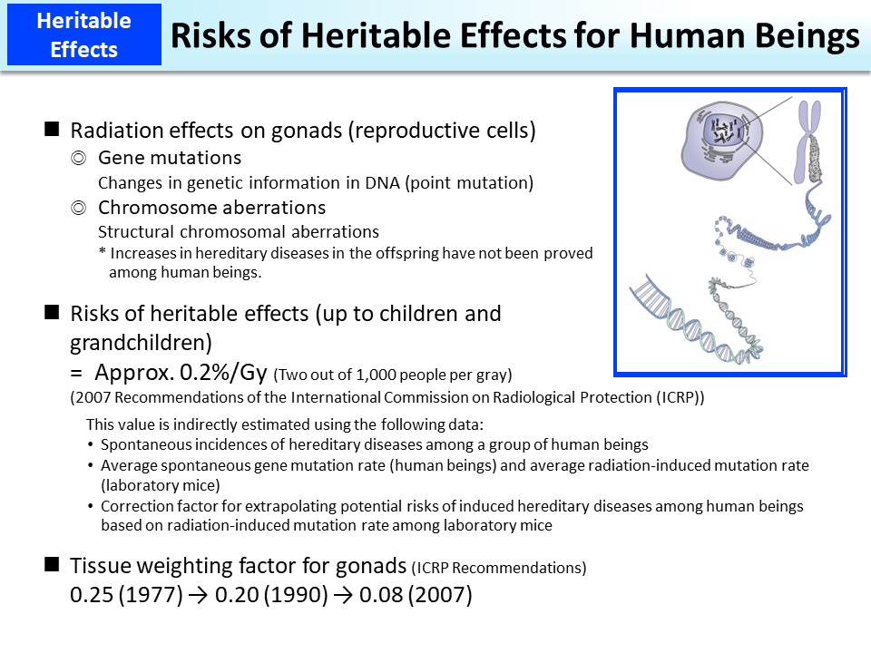 Risks of Heritable Effects for Human Beings_Figure