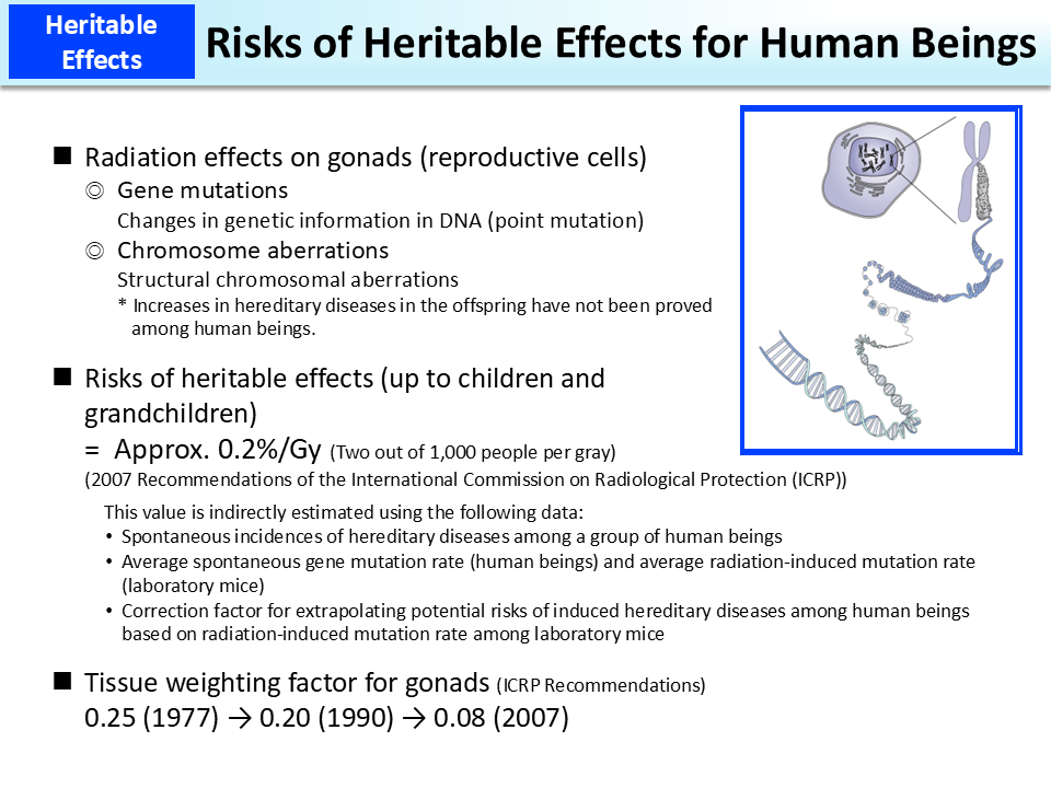 Risks of Heritable Effects for Human Beings_Figure