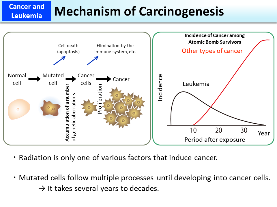 Mechanism of Carcinogenesis_Figure