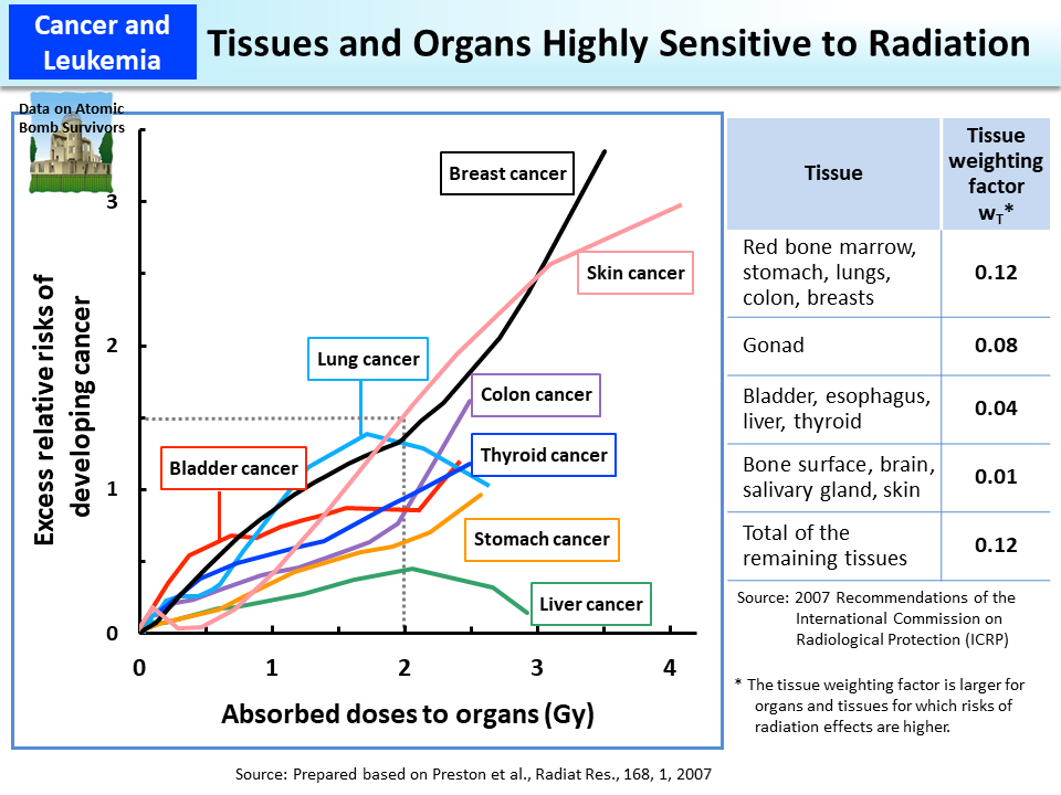 Tissues and Organs Highly Sensitive to Radiation_Figure