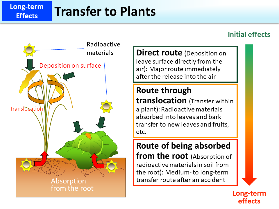 Transfer to Plants_Figure
