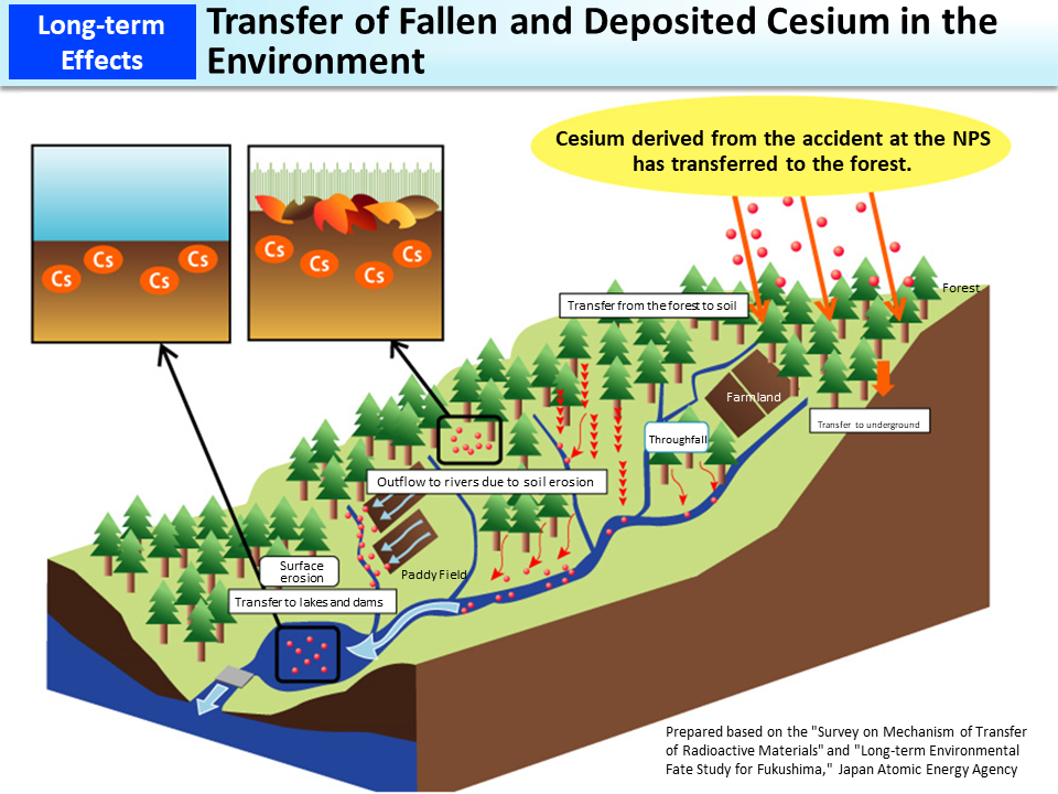 Transfer of Fallen and Deposited Cesium in the Environment_Figure