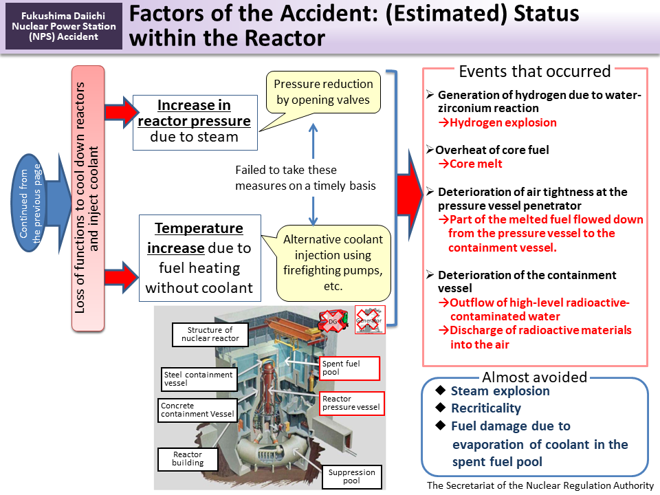 Factors of the Accident: (Estimated) Status within the Reactor_Figure