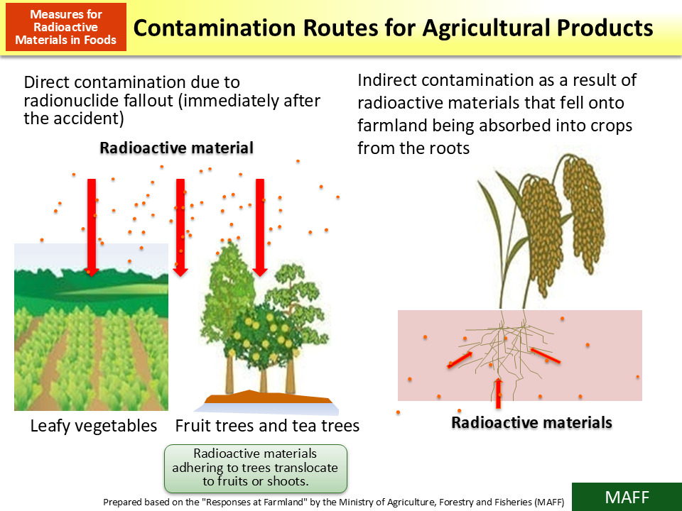 Contamination Routes for Agricultural Products_Figure