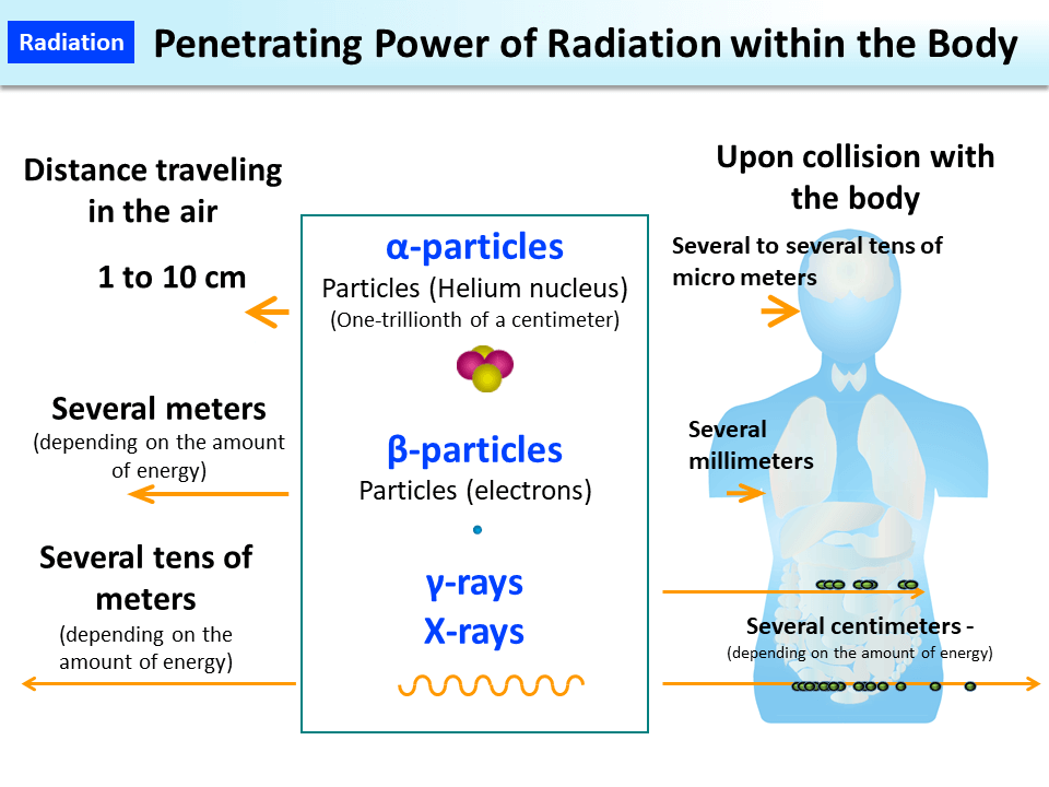 Penetrating Power of Radiation within the Body_Figure