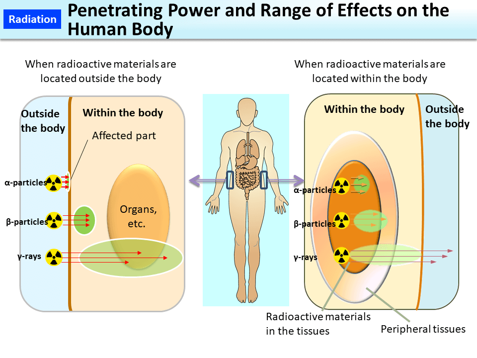 Penetrating Power and Range of Effects on the Human Body_Figure