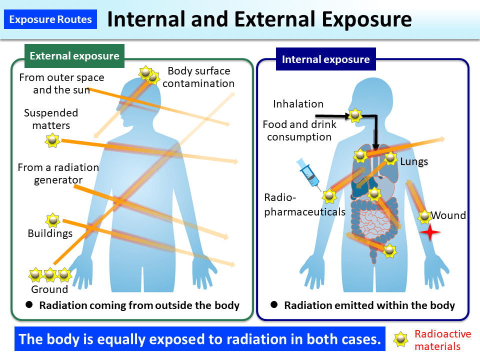 Internal and External Exposure_Figure