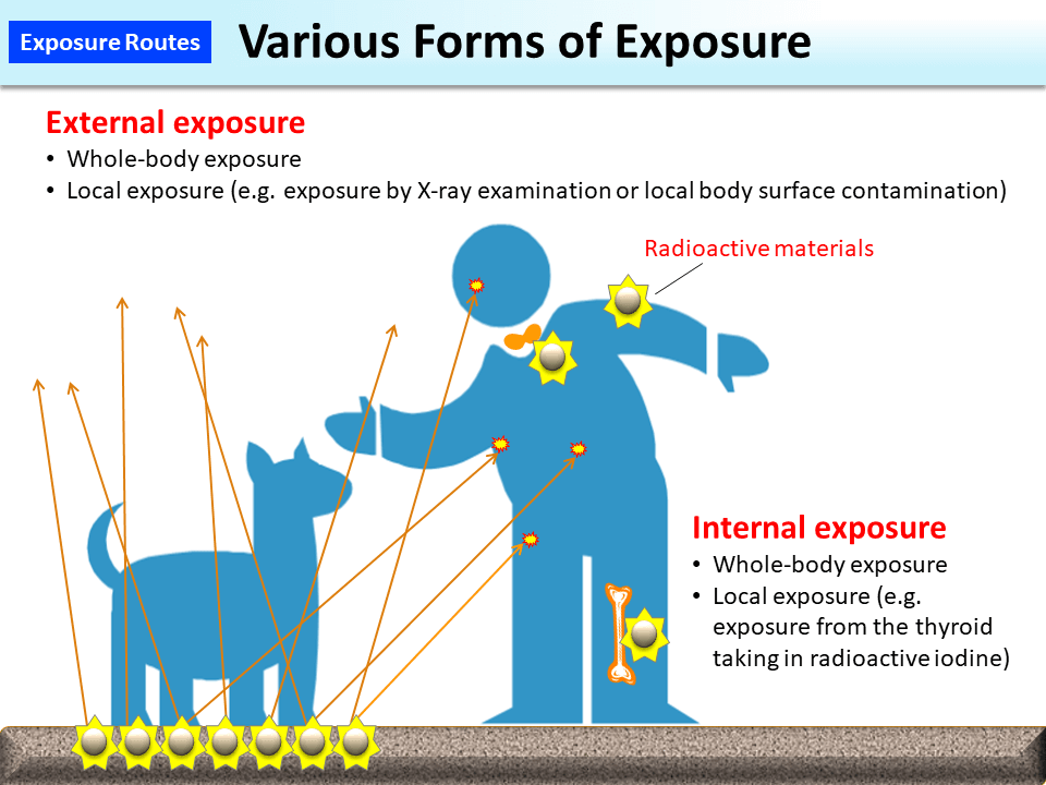 Various Forms of Exposure_Figure