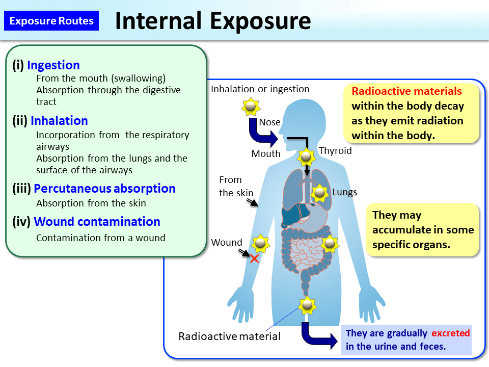 Internal Exposure_Figure