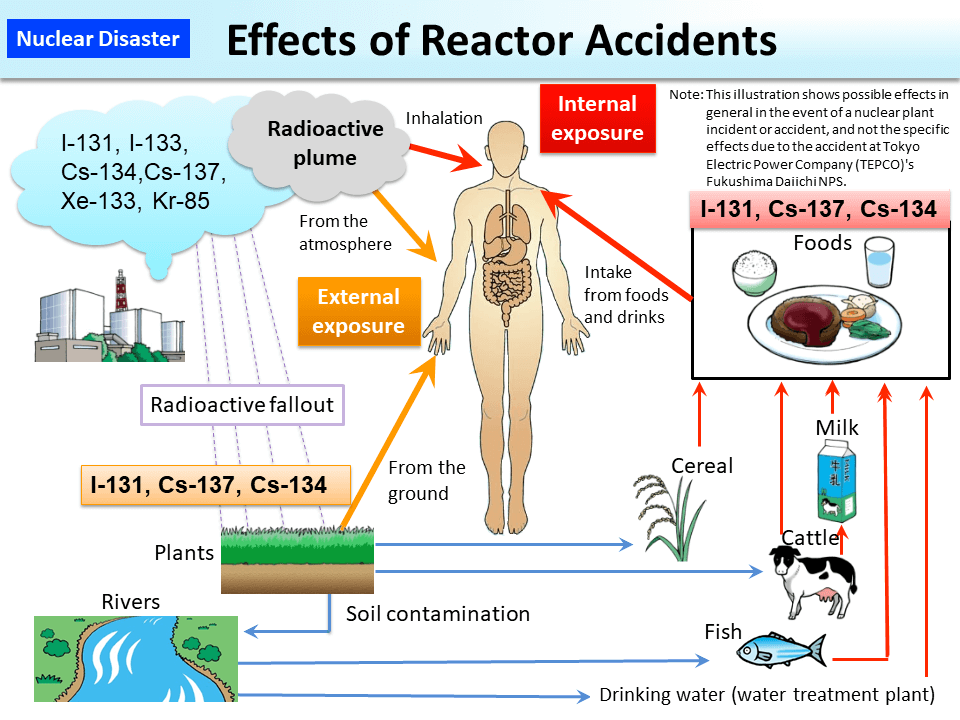 Effects of Reactor Accidents_Figure