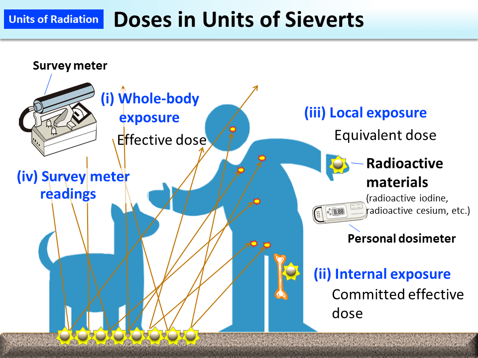 Doses In Units Of Sieverts [Moe]