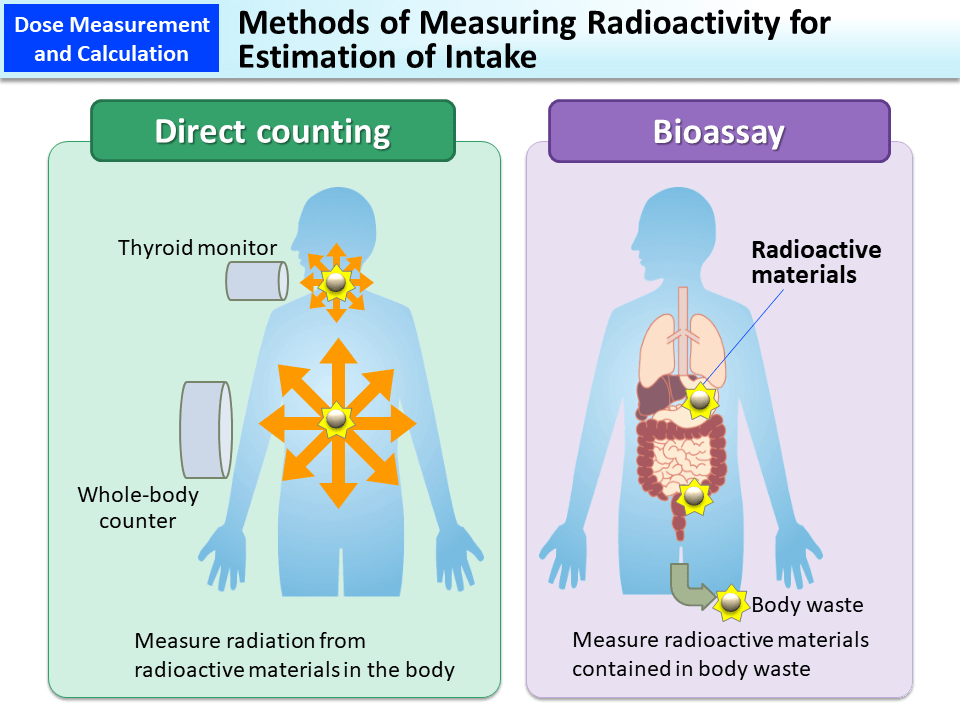 Methods of Measuring Radioactivity for Estimation of Intake_Figure