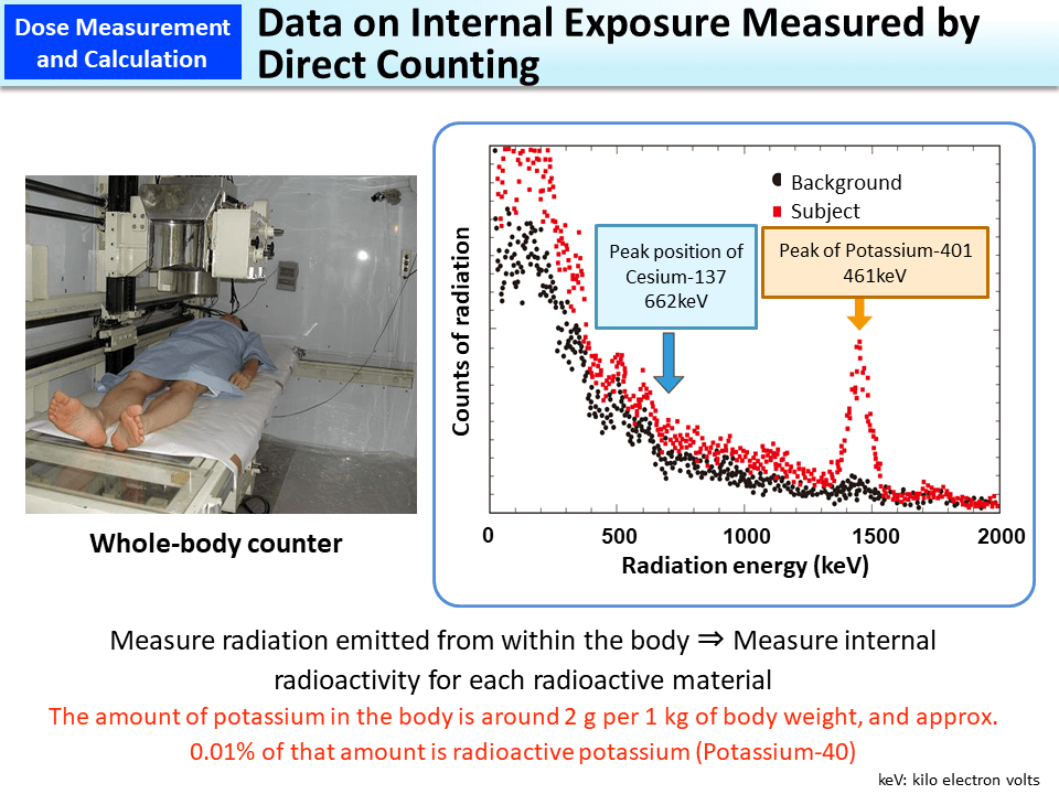 Data on Internal Exposure Measured by Direct Counting_Figure