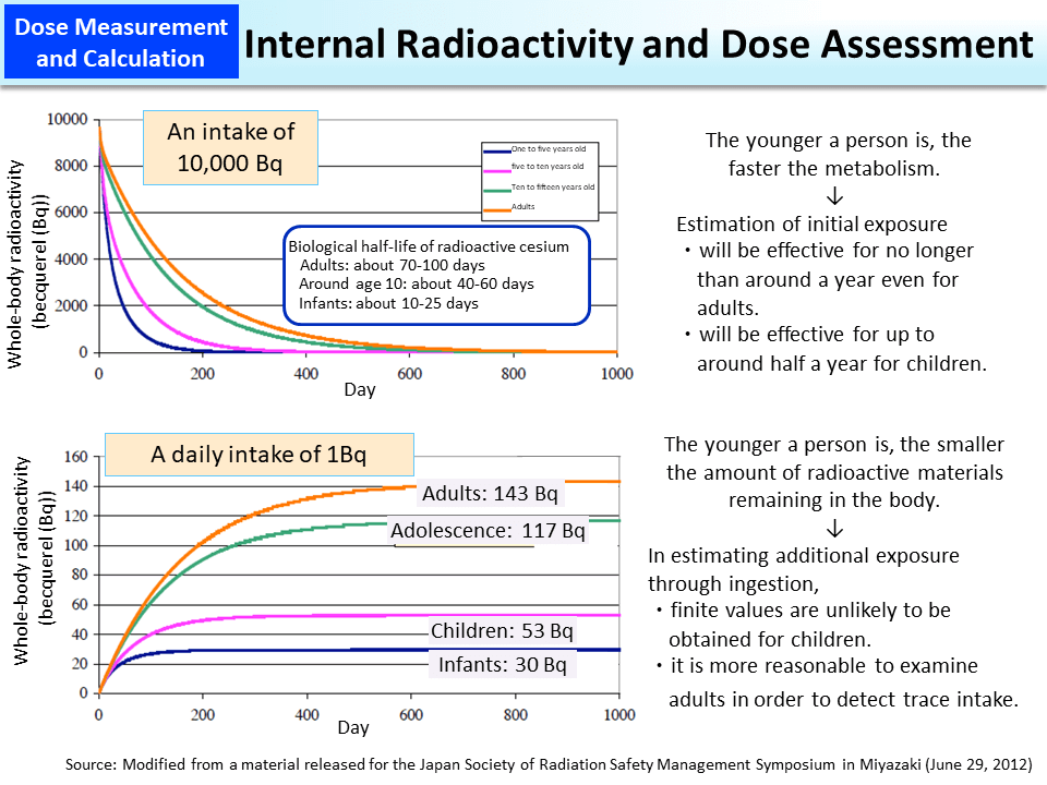 Internal Radioactivity and Dose Assessment_Figure