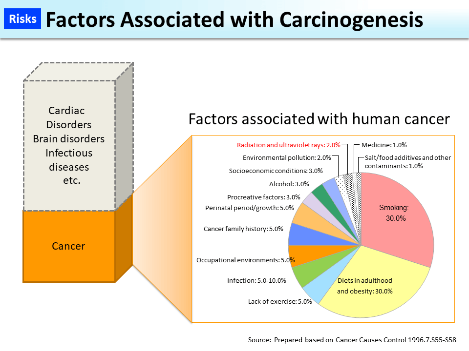 Factors Associated with Carcinogenesis_Figure
