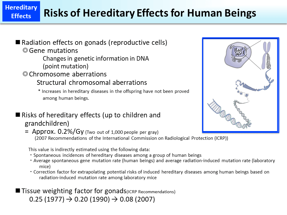 Risks of Hereditary Effects for Human Beings_Figure