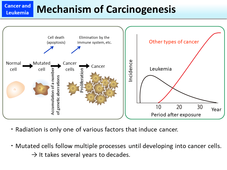 Mechanism of Carcinogenesis_Figure