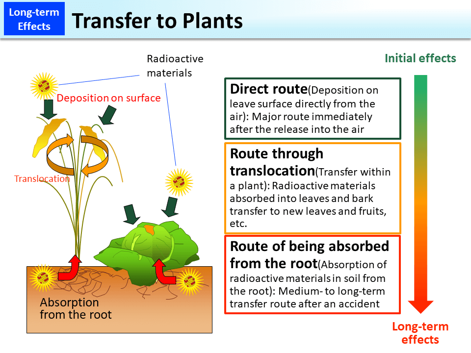 Transfer to Plants_Figure