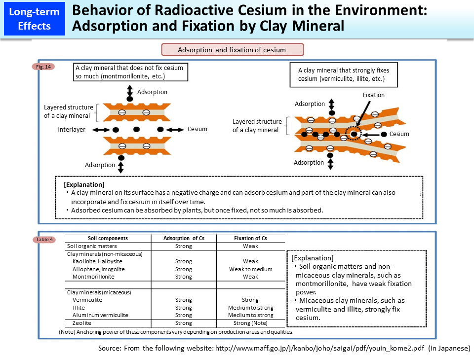 Behavior of Radioactive Cesium in the Environment: Adsorption and Fixation by Clay Mineral_Figure