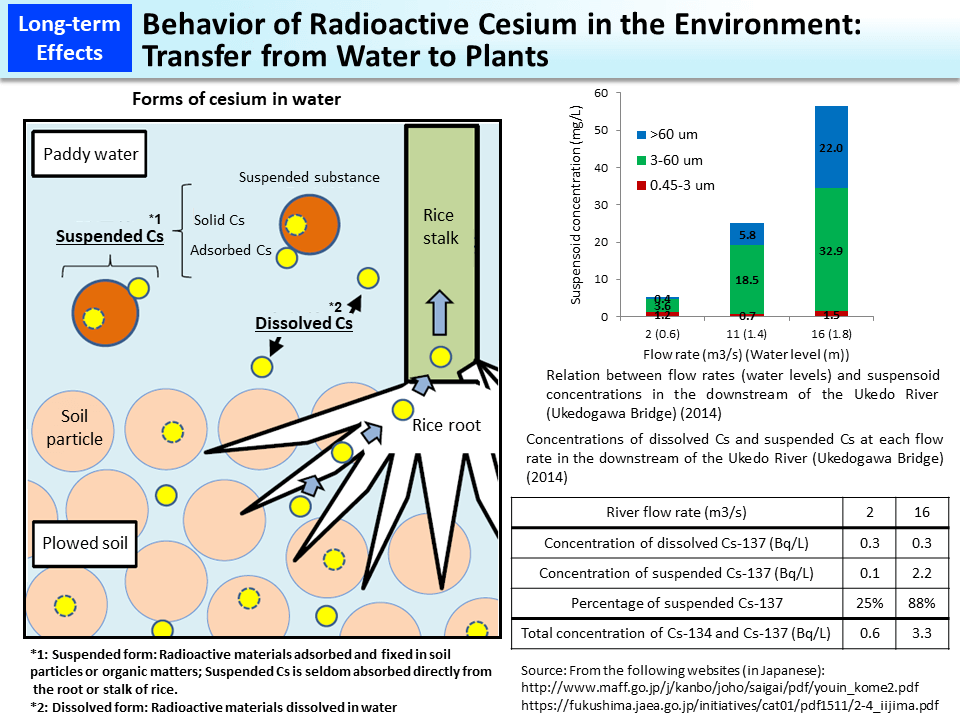 Behavior of Radioactive Cesium in the Environment: Transfer from Water to Plants_Figure