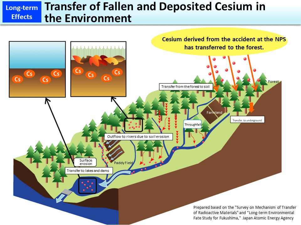 Transfer of Fallen and Deposited Cesium in the Environment_Figure