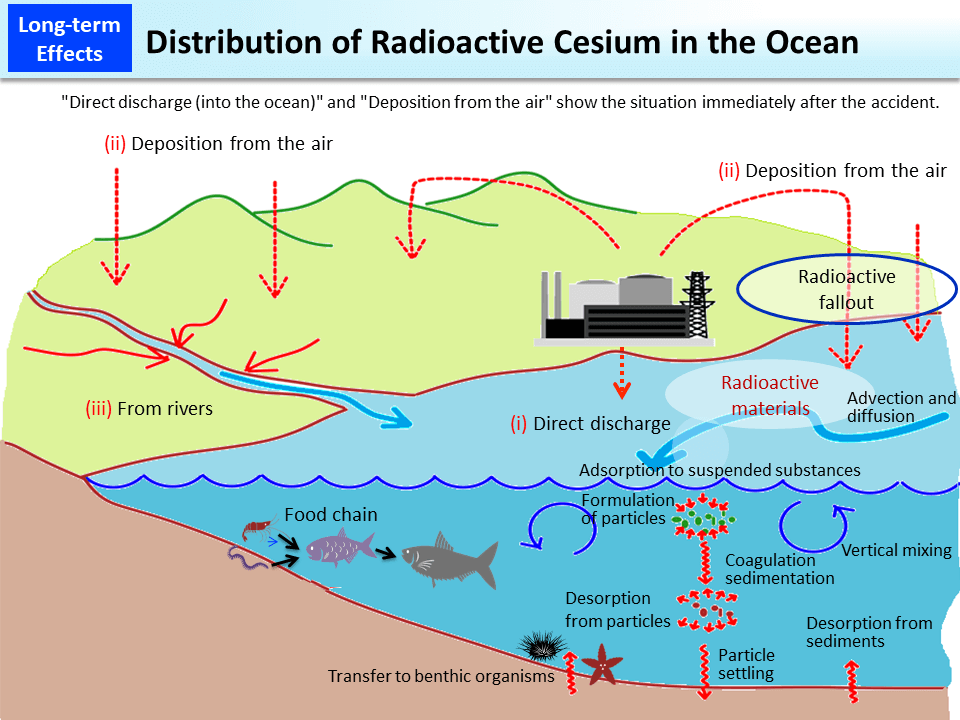 Distribution of Radioactive Cesium in the Ocean_Figure