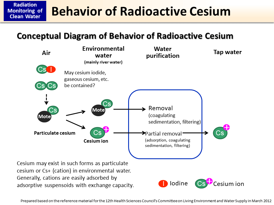 Behavior of Radioactive Cesium_Figure
