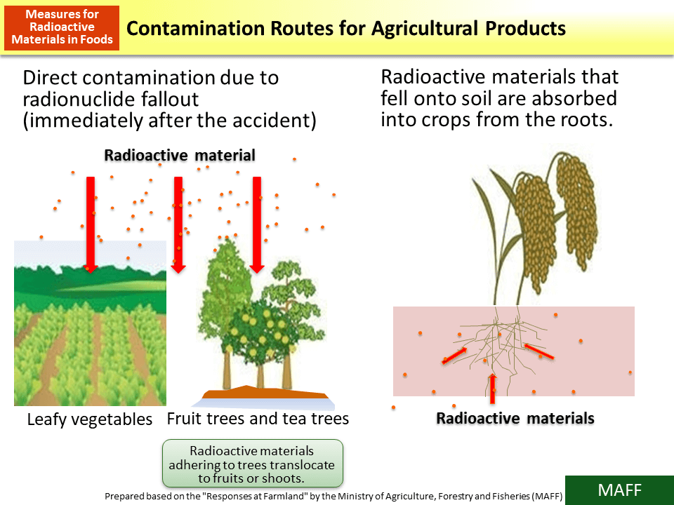 Contamination Routes for Agricultural Products_Figure