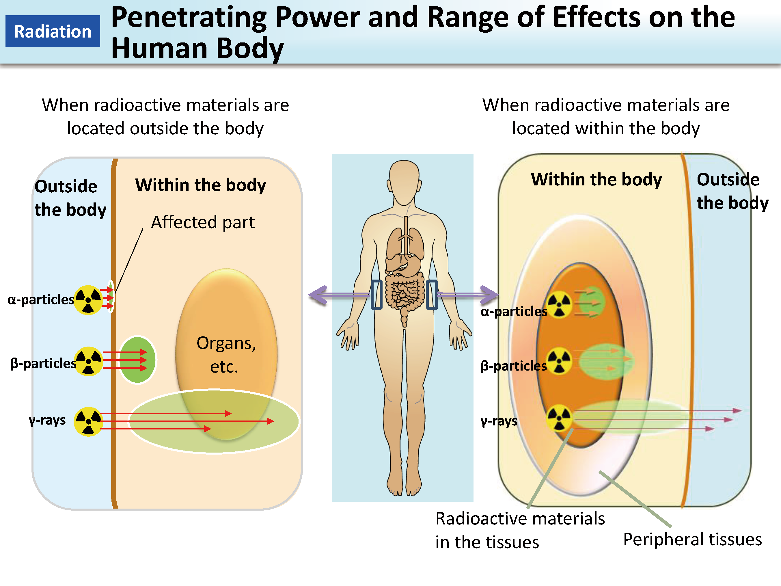 Penetrating Power and Range of Effects on the Human Body_Figure