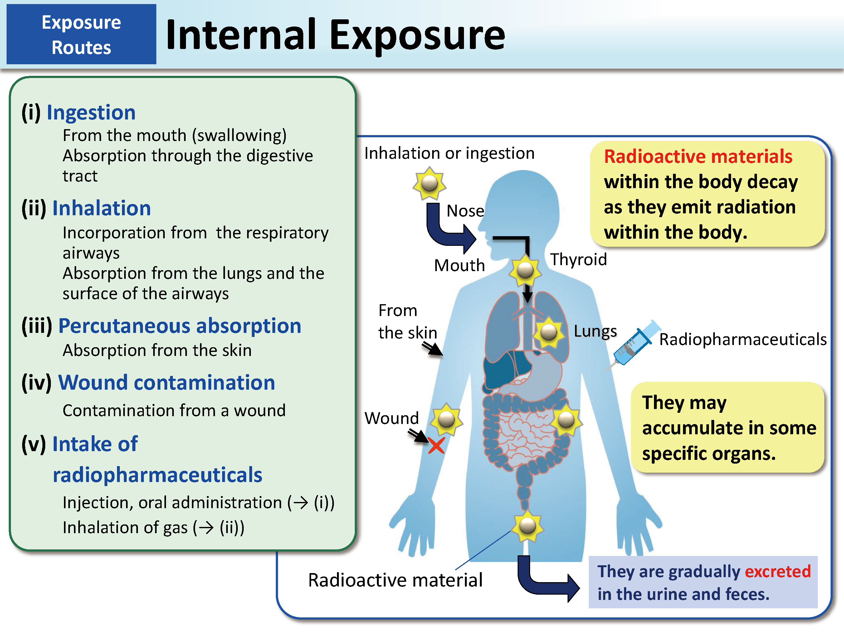 Internal Exposure_Figure