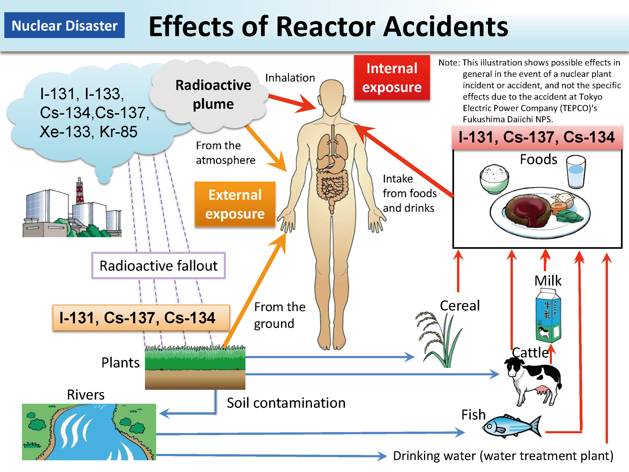 Effects of Reactor Accidents_Figure