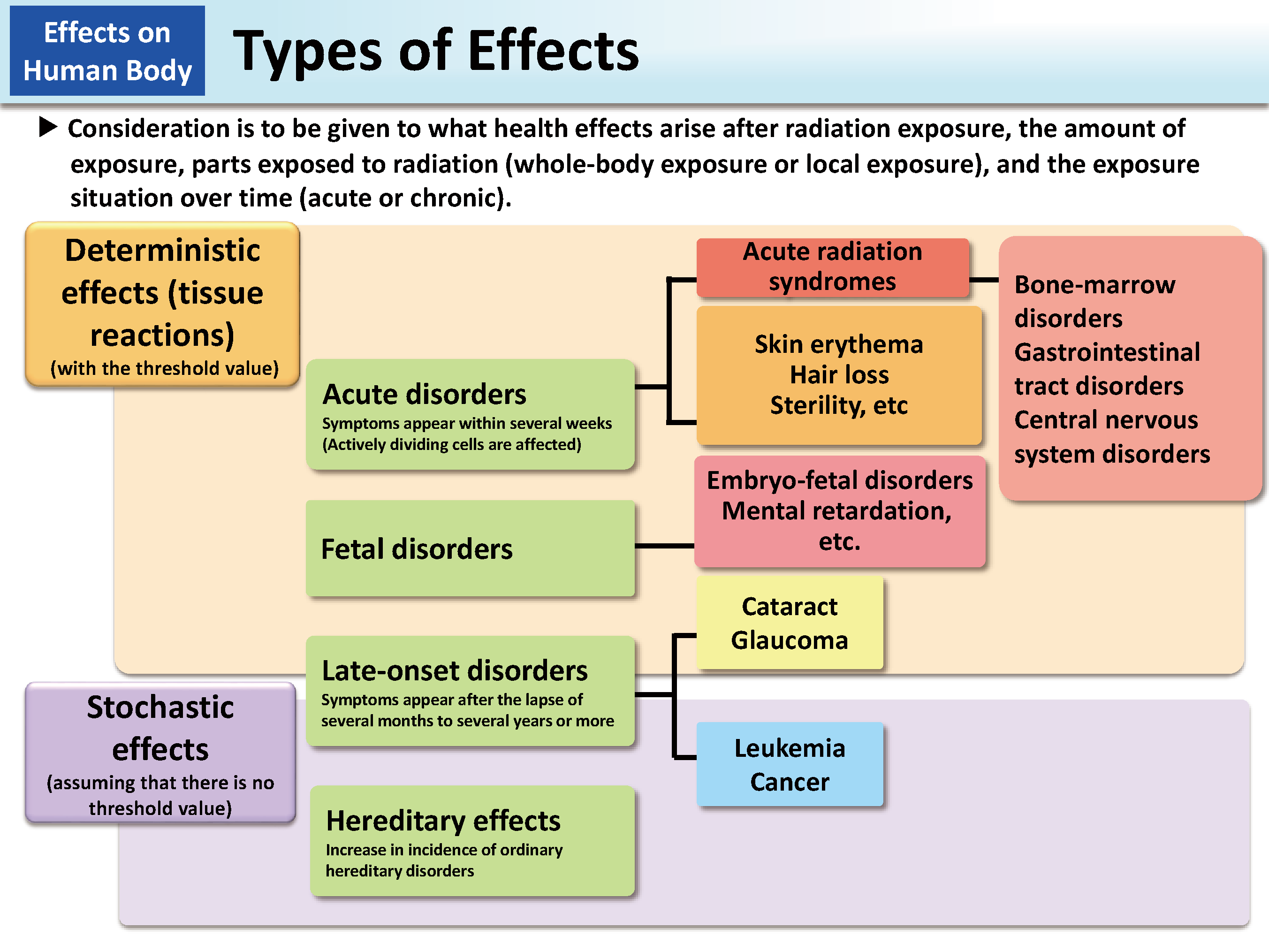 Types of Effects_Figure