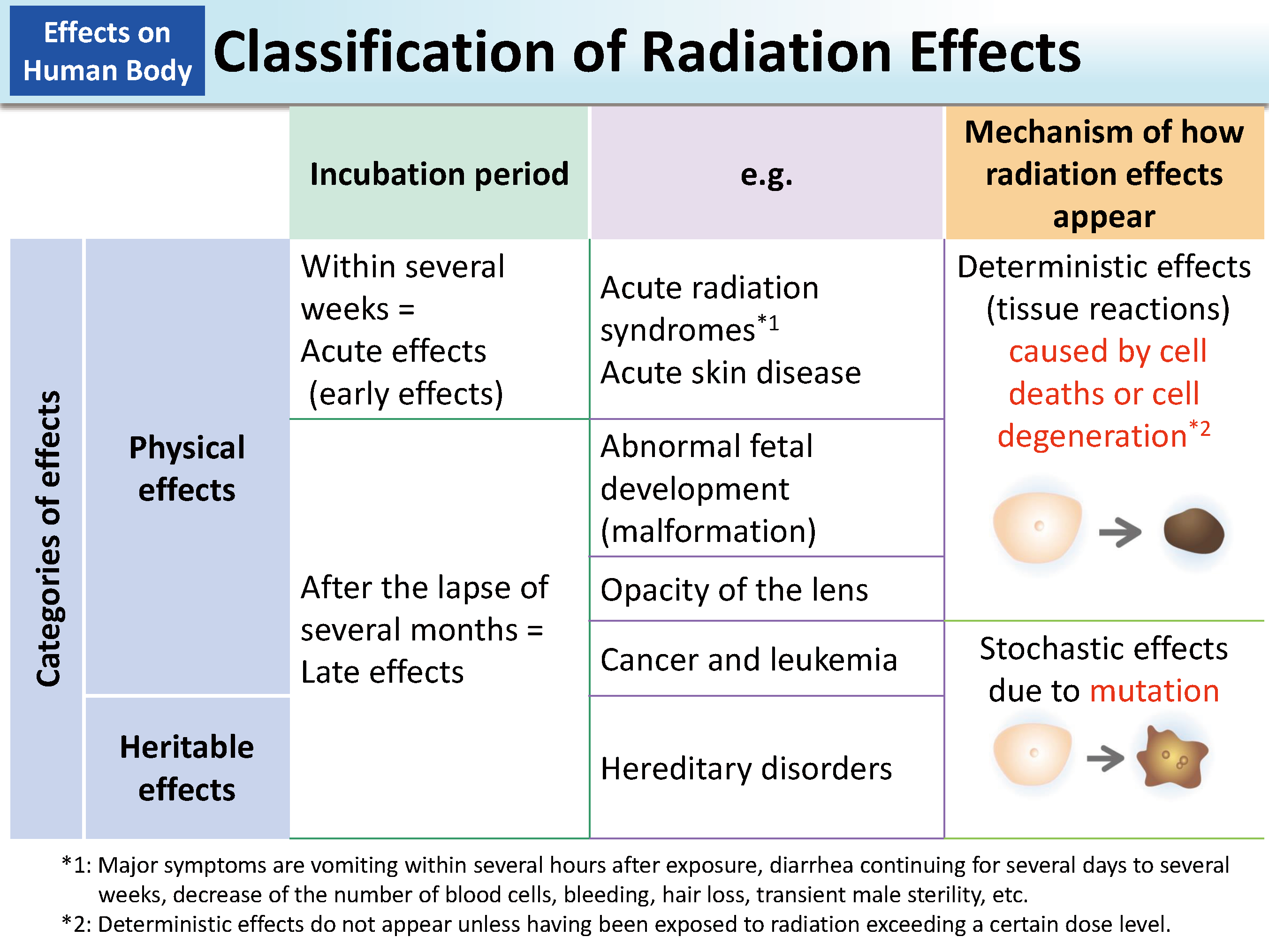 Classification of Radiation Effects_Figure