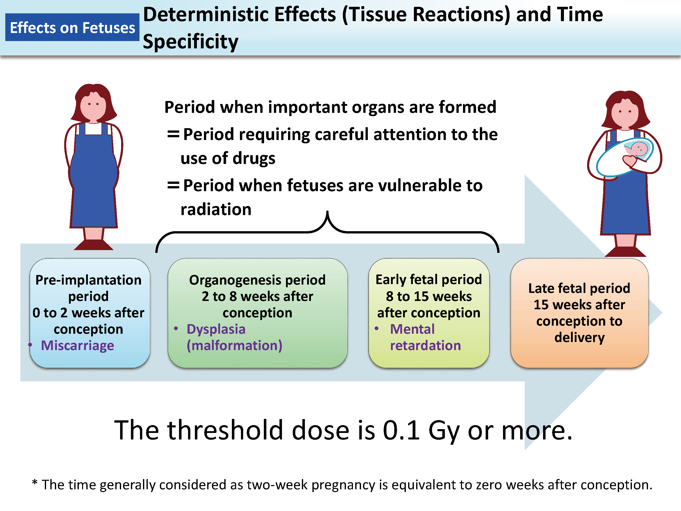 Deterministic Effects (Tissue Reactions) and Time Specificity_Figure
