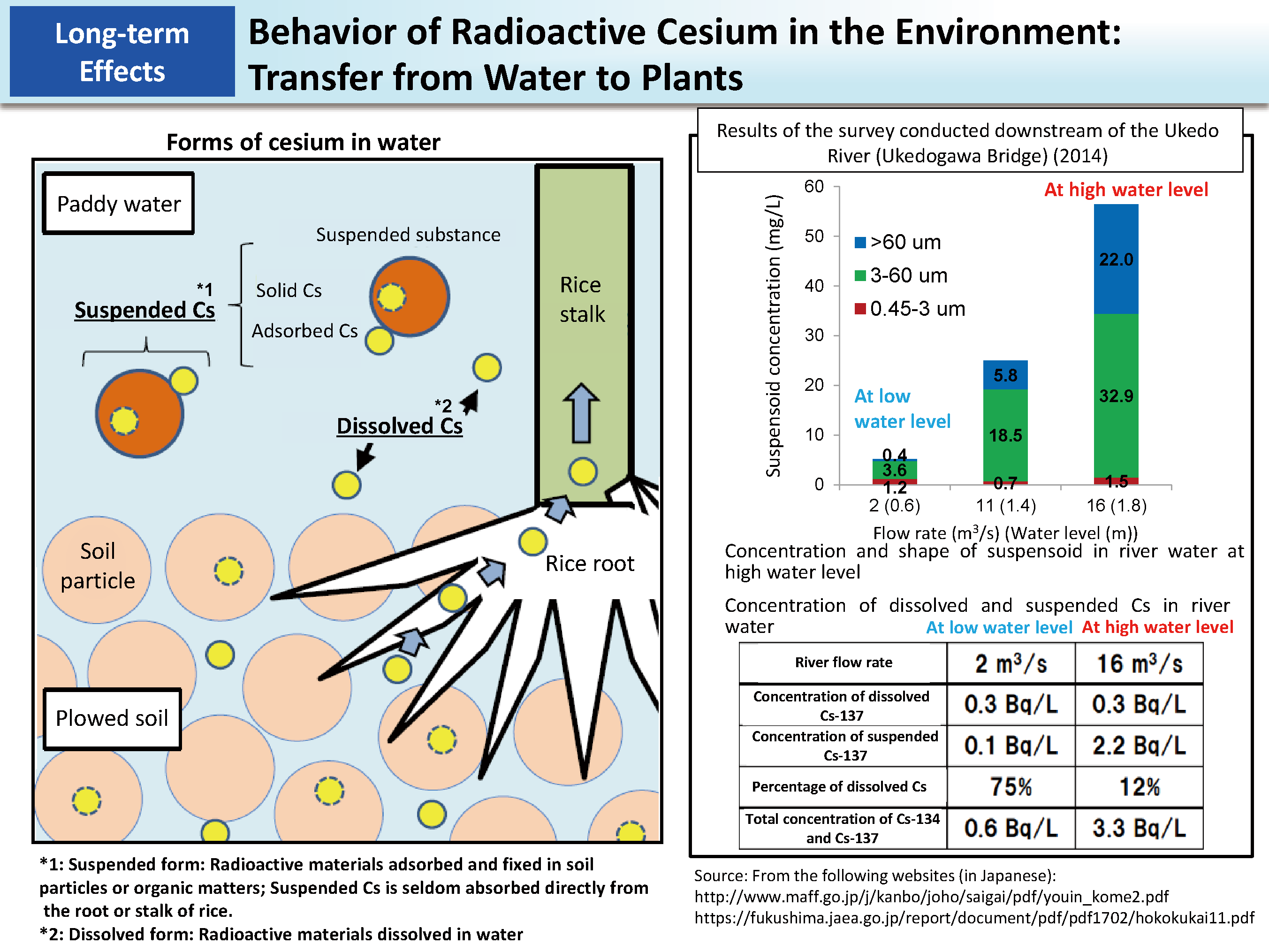 Behavior of Radioactive Cesium in the Environment: Transfer from Water to Plants_Figure