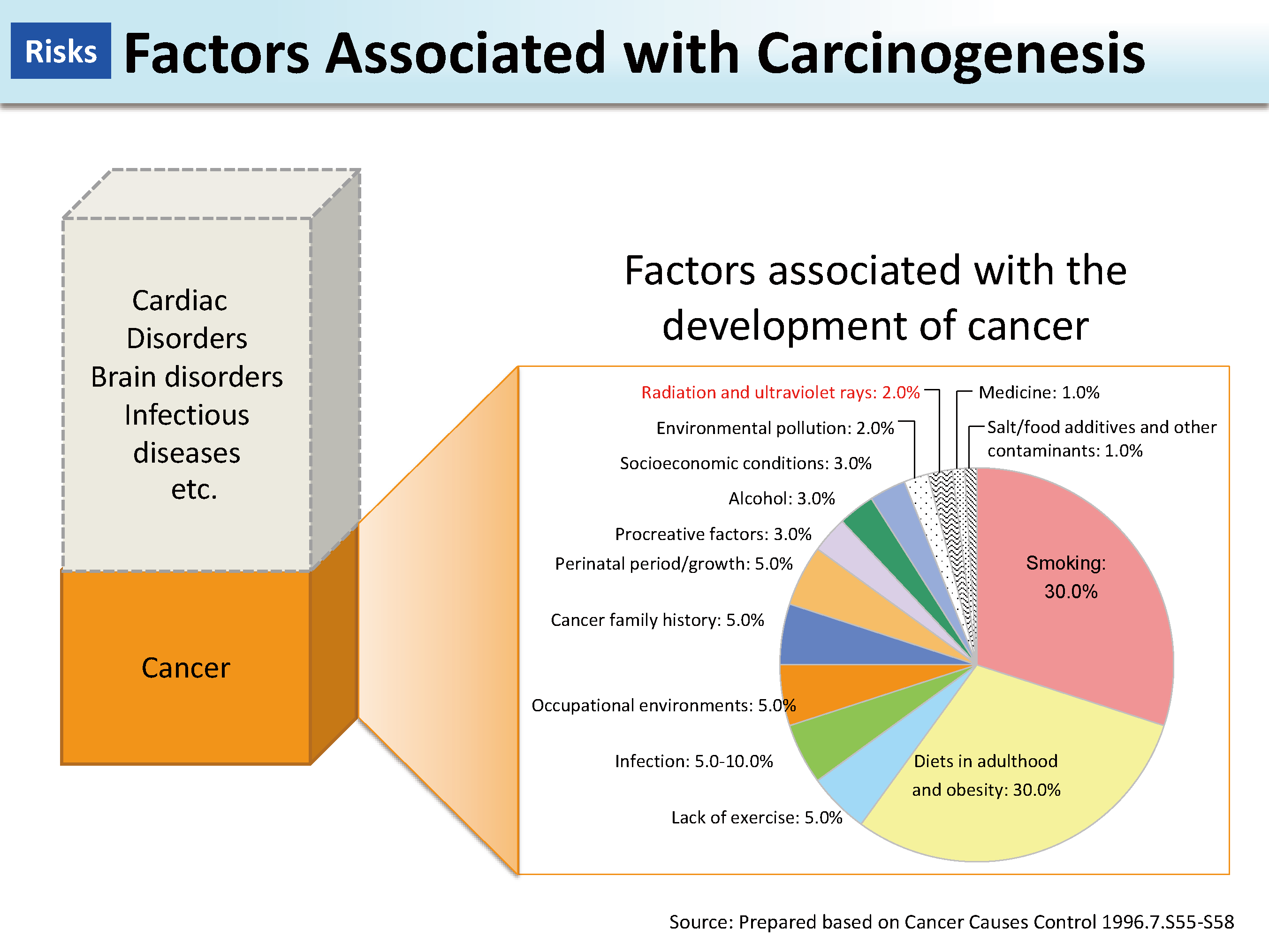 Factors Associated with Carcinogenesis_Figure