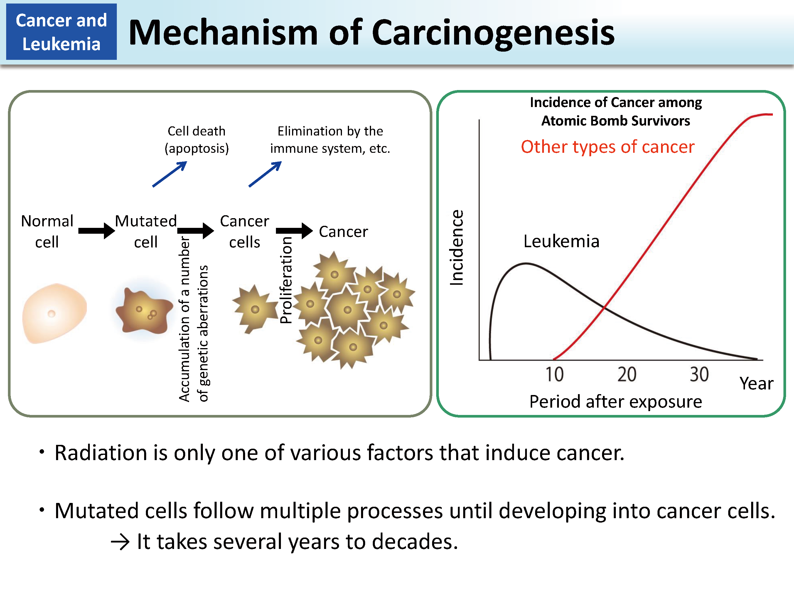 Mechanism of Carcinogenesis_Figure